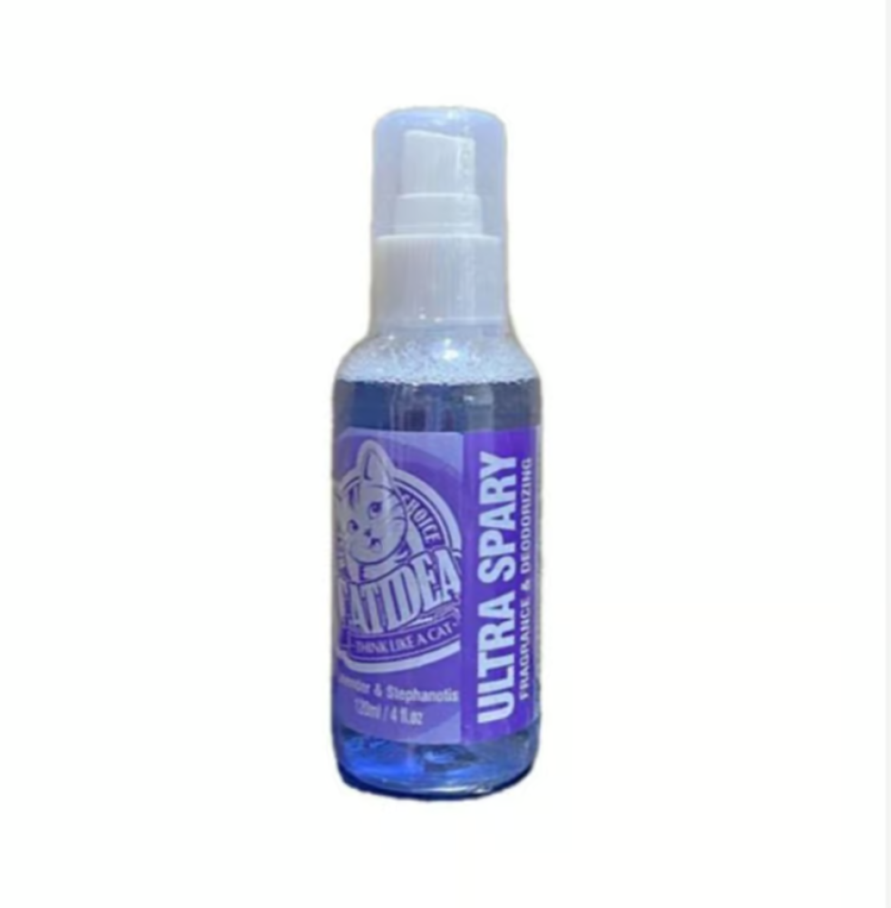 أفضل عطر للقطط